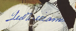 limited_editions_of_new_york020005.jpg