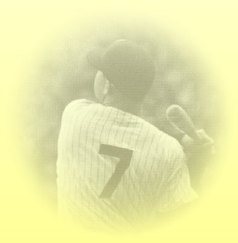 limited_editions_of_new_york_web_site007018.jpg