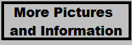 limited_editions_of_new_york_web_site033001.jpg
