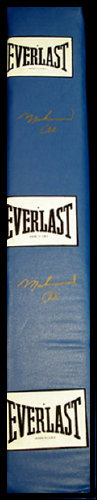 limited_editions_of_new_york_web_site042006.jpg