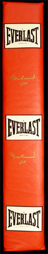 limited_editions_of_new_york_web_site042008.jpg