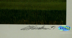 limited_editions_of_new_york_web_site162007.jpg