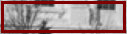 limited_editions_of_new_york_web_site168003.jpg